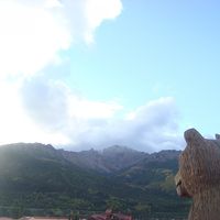 クマの木彫とデナリ国立公園方向にある山々