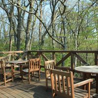 気持のよいテラスでいただくコーヒーは最高！