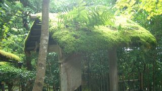 非常に趣き深いお寺