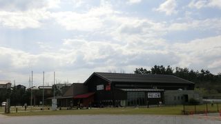 なんと無料のミニ水族館☆