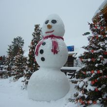 子供の頃の夢が実現したような場所