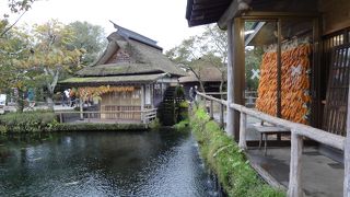 透明度が想像以上でした。