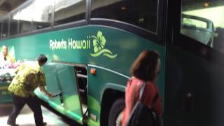 個人旅行ではアクセス抜群の行きも帰りも便利なワイキキへのアクセス