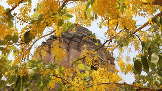 チェディだけでなく、本堂も見ごたえあり！