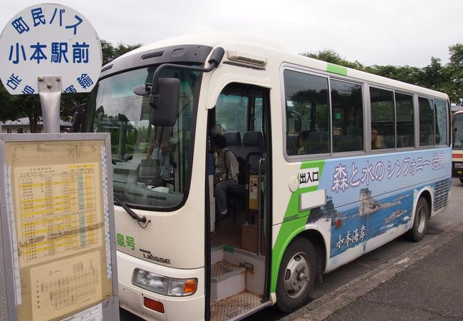 小本駅前から龍泉洞まで行く町民バスあり(本数少ないです)