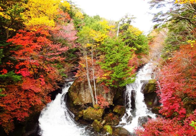 竜頭ノ滝 栃木県日光市 クチコミ アクセス 営業時間 日光 フォートラベル