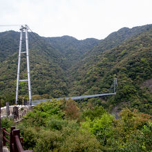 照葉大吊橋