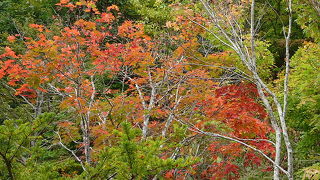 ○○○は燃えているか