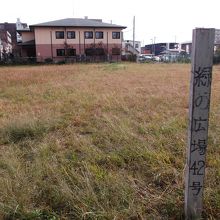 草生え放題。避難場所か？