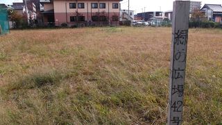 なんじゃ・・　単なる原っぱ！