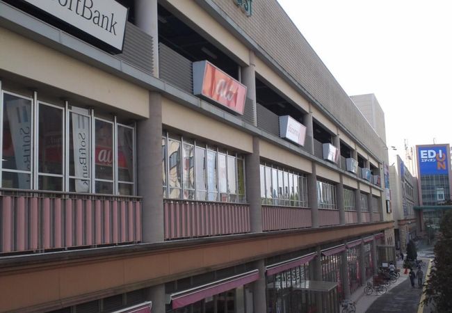 パーク オーキッド