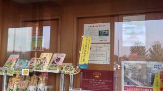 平日も賑わっています。