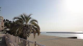 散歩しました。