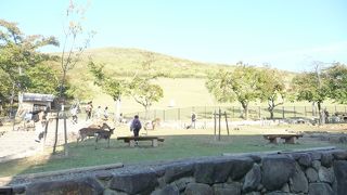 若草色に広がる３４２ｍの山