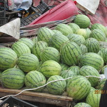 スイカも売ってます。