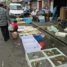 魚、上海蟹も売ってます。