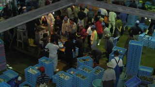 ここは昼網やし