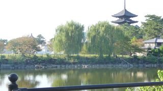 奈良ホテルを映す荒池