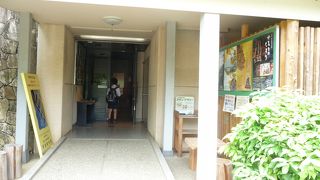 壁画の飛鳥美人