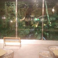 ロビーからの景色