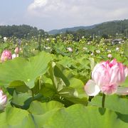 小さいながら見応えのある湖