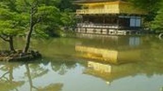 池の映る姿もきれい