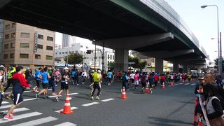 有名人を探しに