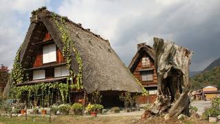 次は冬にライトアップに行きます