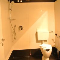 シャワーとトイレの間に仕切りがないバスルーム