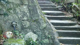 時々本物の猫ちゃんにも会える