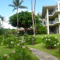 コンドミニアム外観