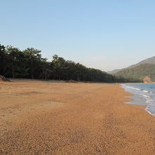 清々しい気比の松原