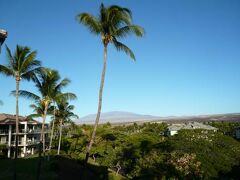 Vista Waikoloa 写真