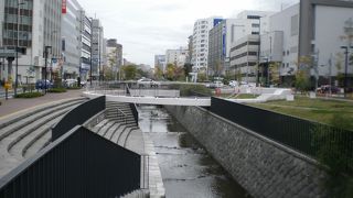 白いリングがユニークなスノーリング