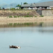 戸川ダム公園　たからだの里さいた