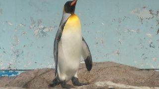 富士山を臨む位置にある