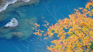 紅葉と青い水の競演