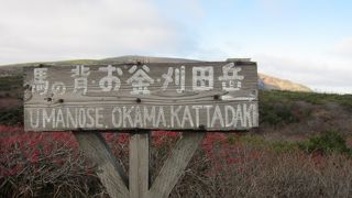 お釜だけではもったいない