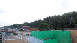 札沼線の車窓から見える防風林