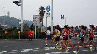 湘南潮騒を走る・・箱根駅伝のコースも・・