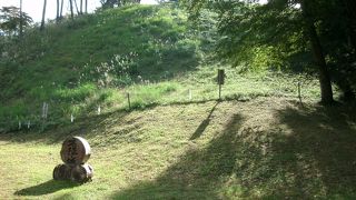 下から見ると草が生えた普通の山の斜面