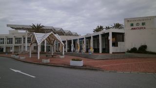 南国フルーツを使ったソフトクリームを召し上がれ！