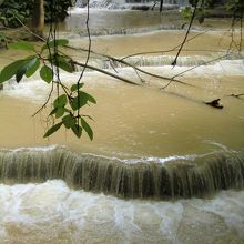透き通ったところを見たかったです