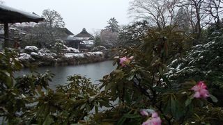 季節外れの雪と花の庭園が綺麗でした