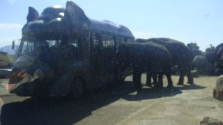 迫力はなかったです。