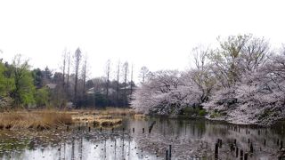 住宅街のオアシス