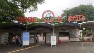 御影・灘の絶景ポイントはここ