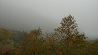 ６月中旬に行くのがよい