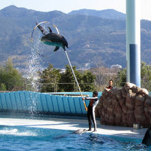 ジャンプ成功。