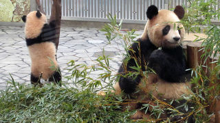 シャチがいなくても見どころたくさん。